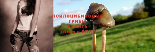 ALPHA-PVP Арсеньев